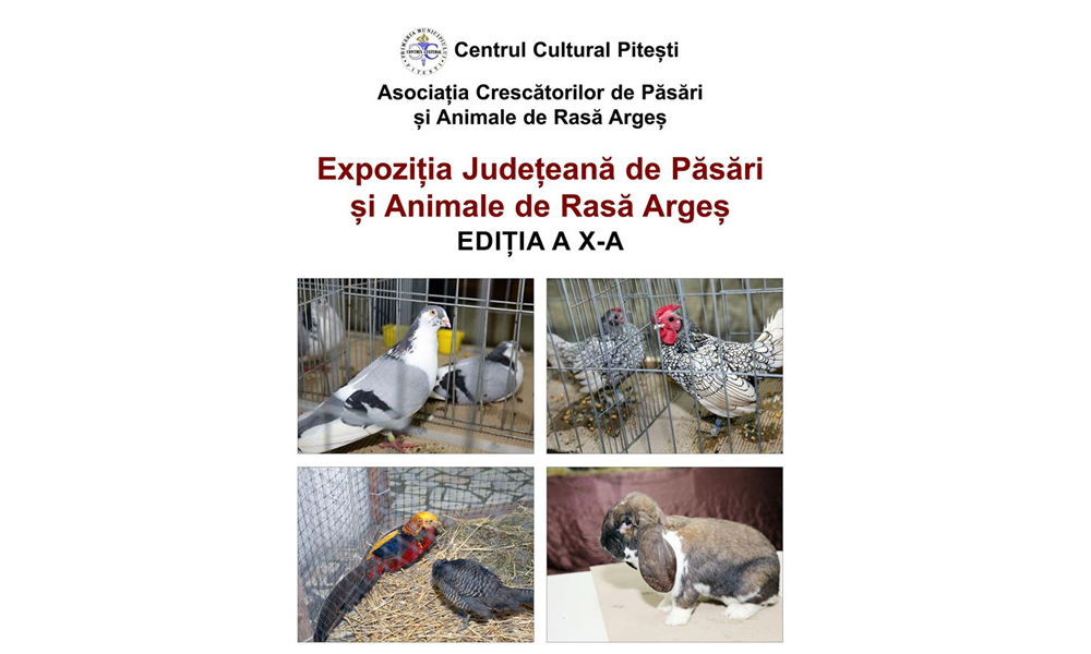 Expoziția Județeană de Păsări și Animale de Rasă / Argeș 